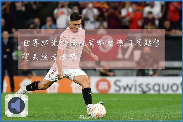 世界杯竞猜投注有哪些热门网站值得关注与选择