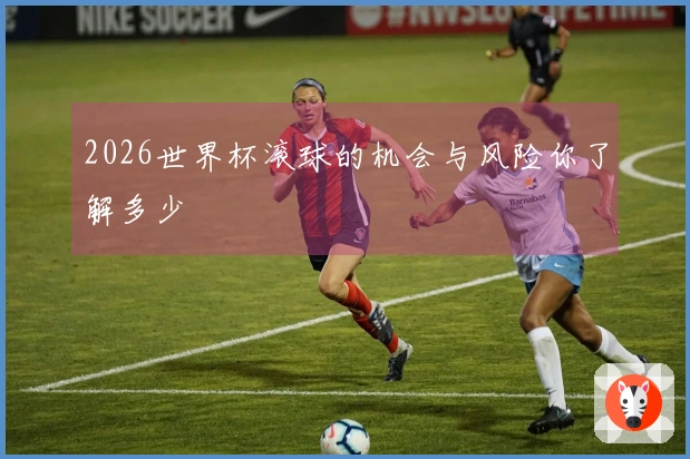 2026世界杯滚球的机会与风险你了解多少