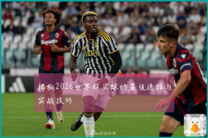 揭秘2026世界杯买球的最佳选择与实战技巧