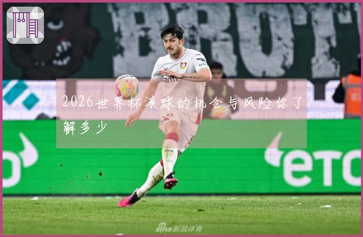 2026世界杯滚球的机会与风险你了解多少