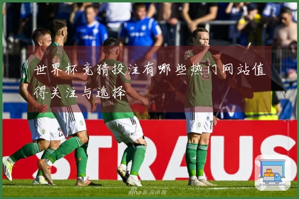 世界杯竞猜投注有哪些热门网站值得关注与选择